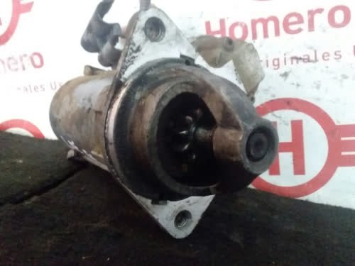 Burro Ford Focus  - 4843804