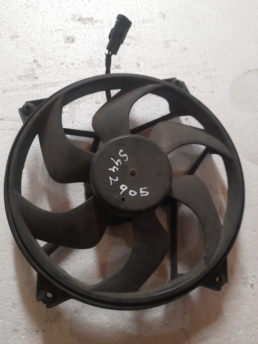 Electro Ventilador Peugeot 307 2008 - 5442905
