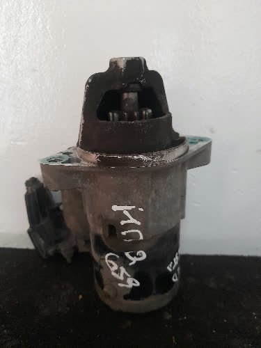 Burro Ford Fiesta 2011 - 6446843